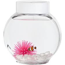 fish bowl